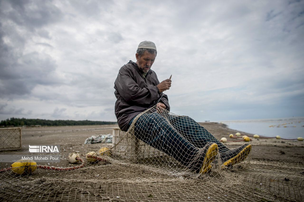 صید ماهی در دریای خزر