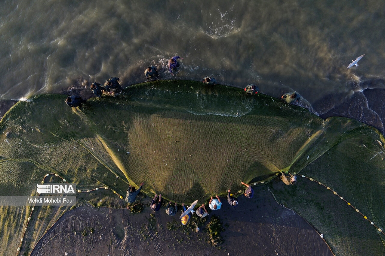 صید ماهی در دریای خزر