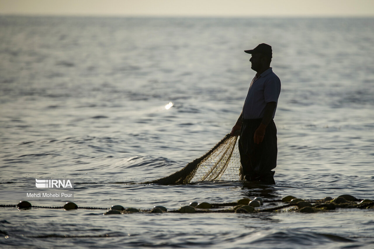 صید ماهی در دریای خزر