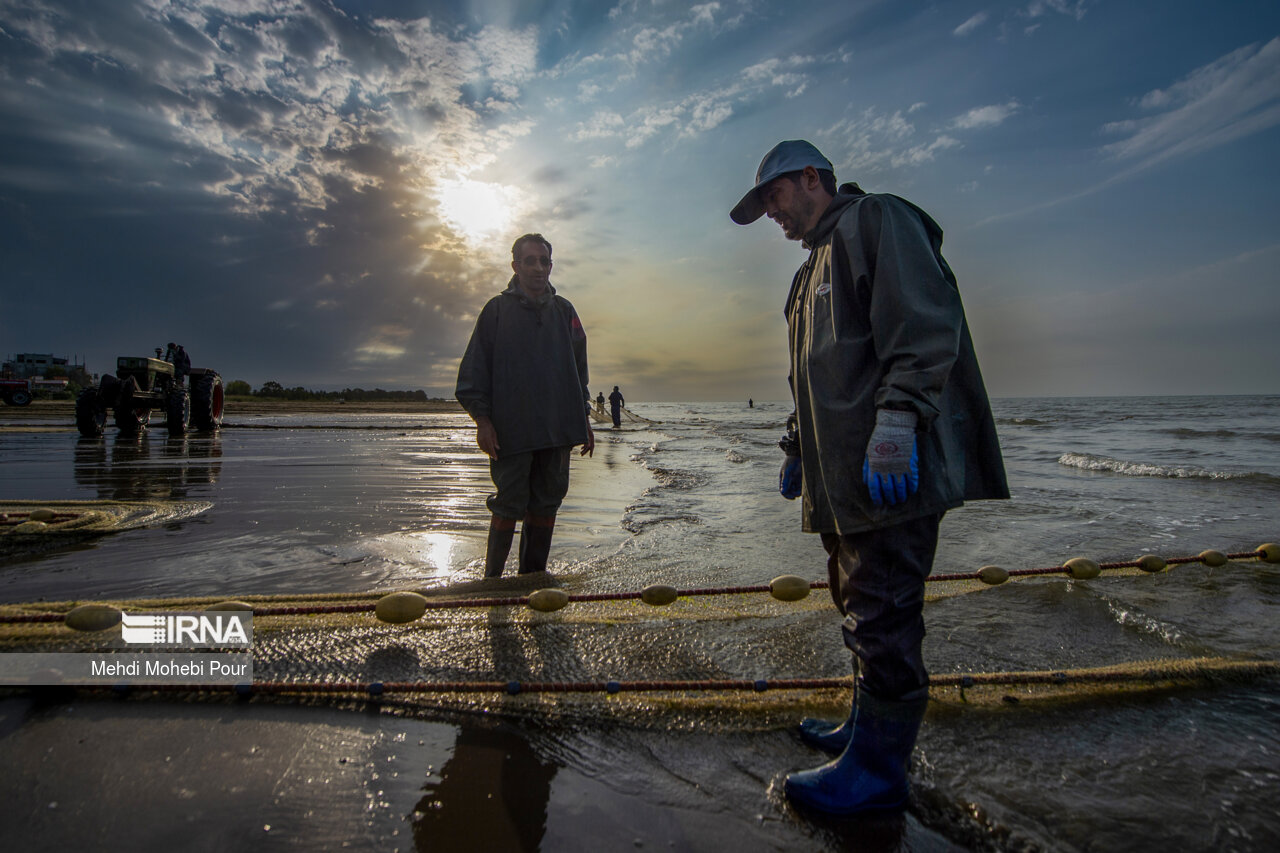 صید ماهی در دریای خزر