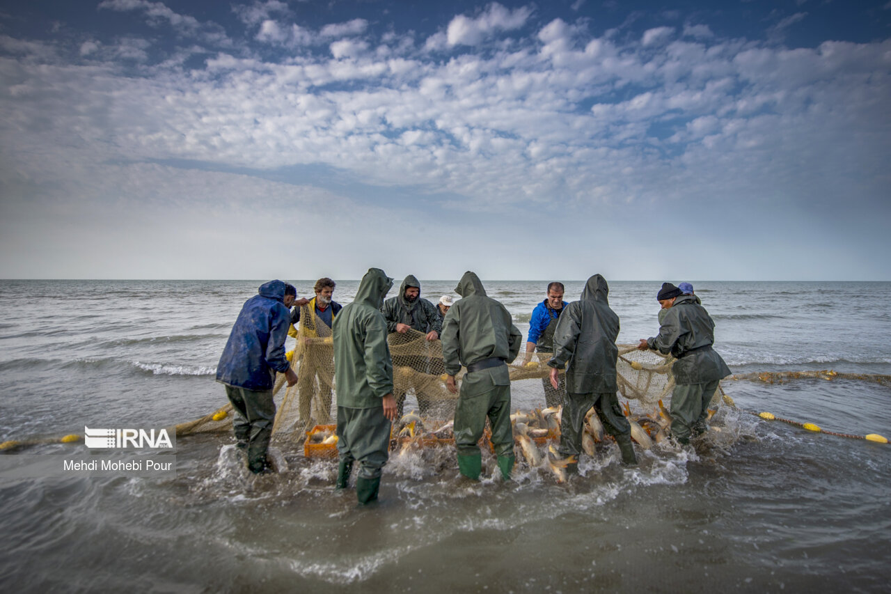 صید ماهی در دریای خزر