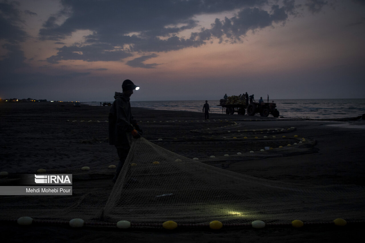 صید ماهی در دریای خزر