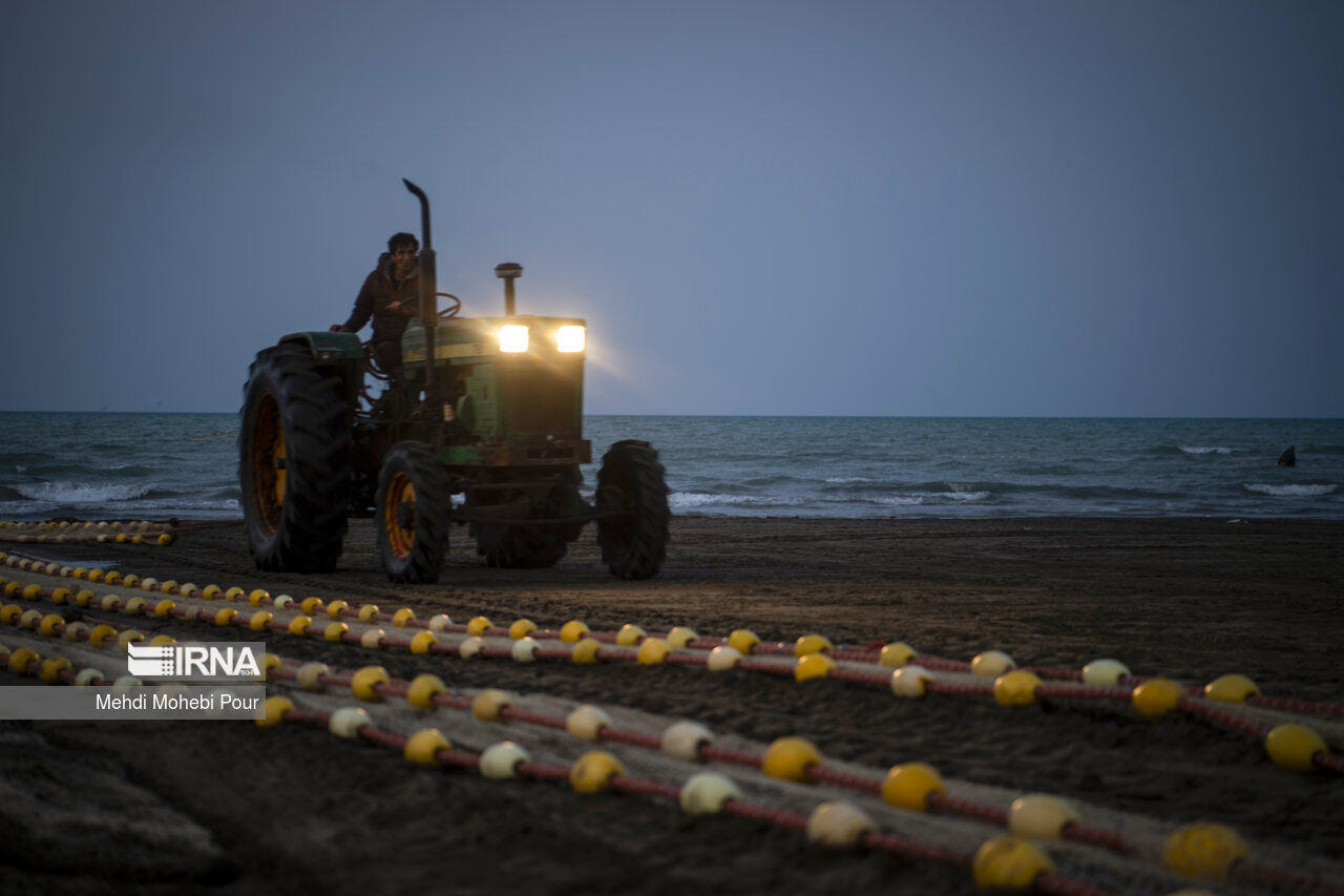 صید ماهی در دریای خزر