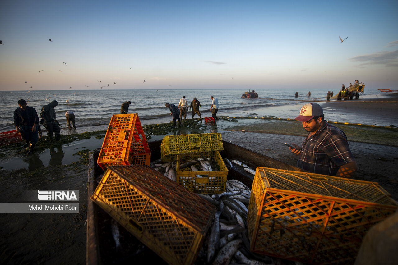 صید ماهی در دریای خزر