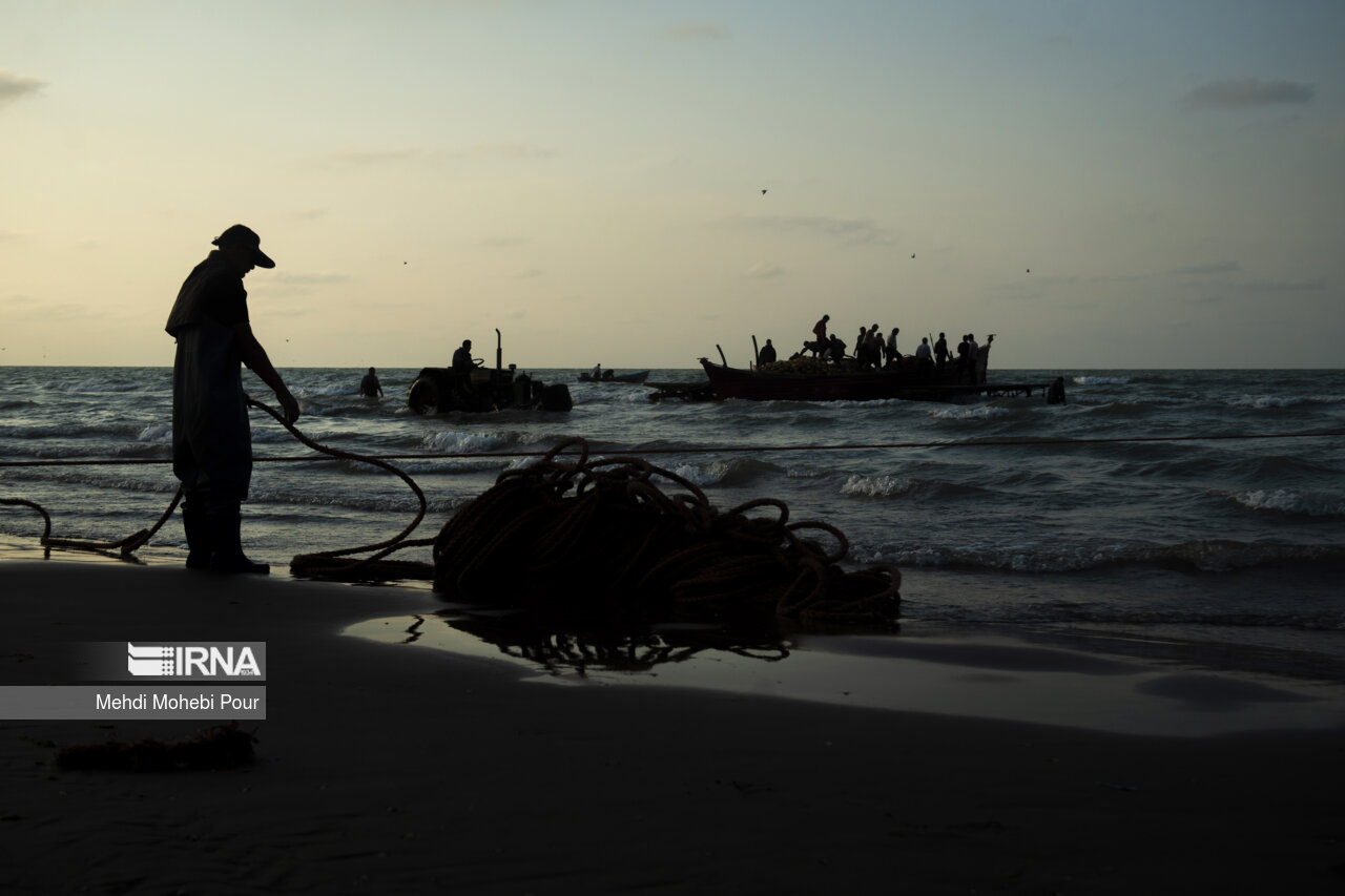 صید ماهی در دریای خزر