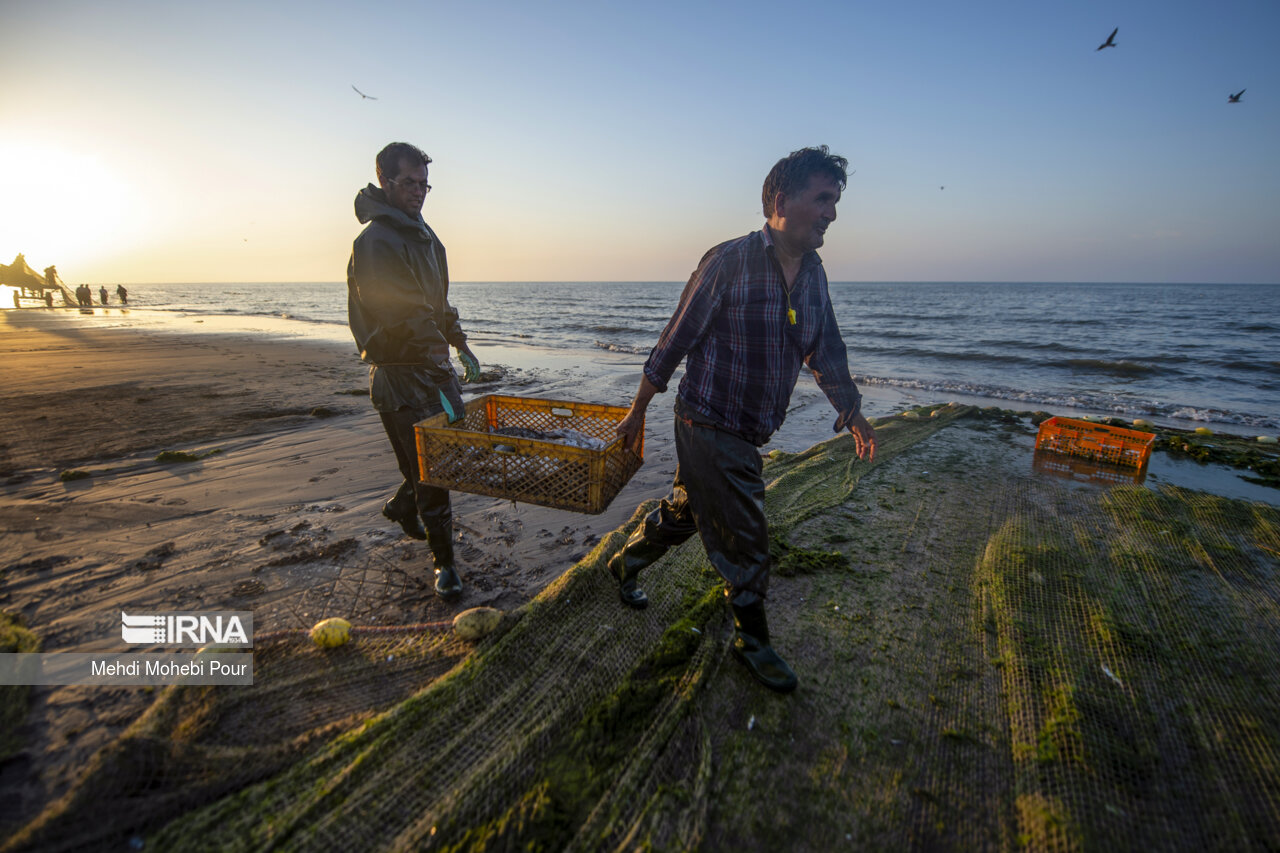 صید ماهی در دریای خزر
