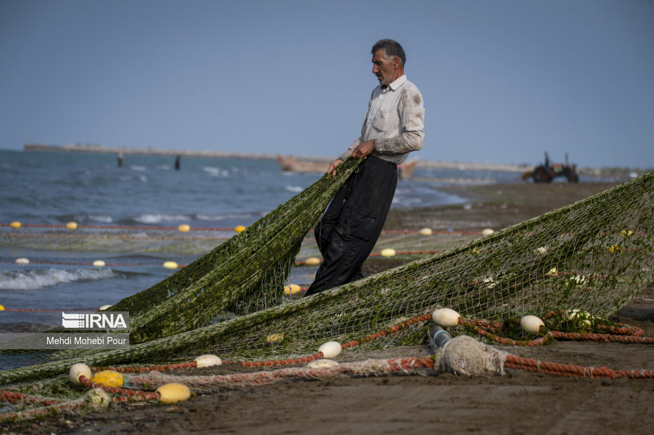صید ماهی در دریای خزر