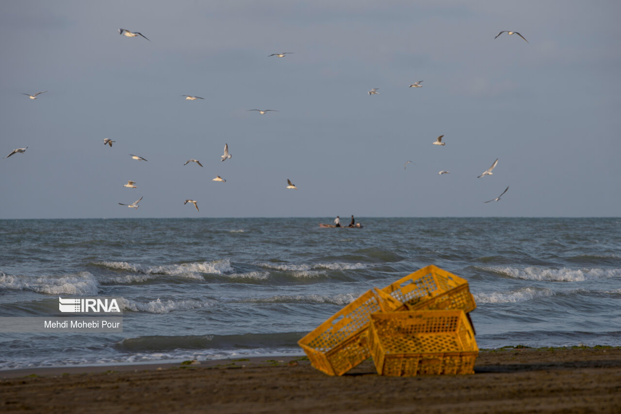 صید ماهی در دریای خزر