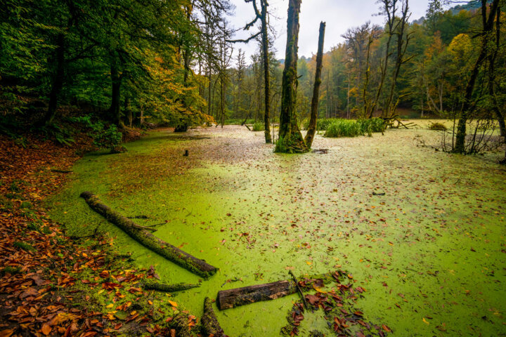 با آداب طبیعتگردی آشنا شویم