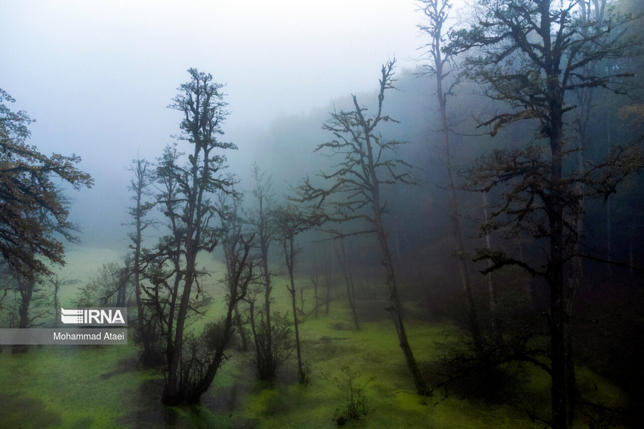 پاییز در مرداب دریوک