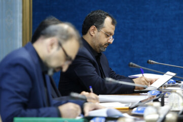 جلسه وبیناری خاندوزی با اعضای شورای عالی ایرانیان مقیم چین برگزار شد