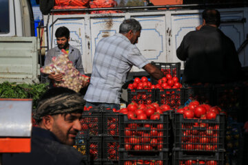 میدان میوه و تره بار