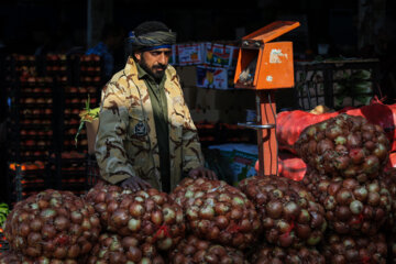 میدان میوه و تره بار