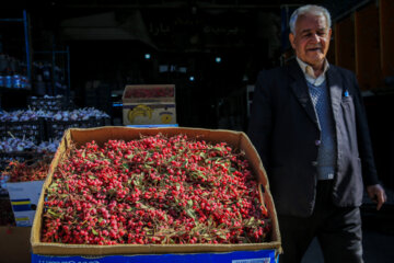 میدان میوه و تره بار