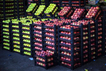 توزیع ۳۰ تن سیب و پرتقال تنظیم بازار شب عید در شهرستان دماوند از ۲۵ اسفندماه 
