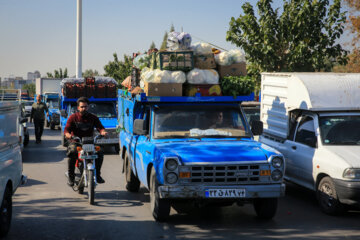 میدان میوه و تره بار