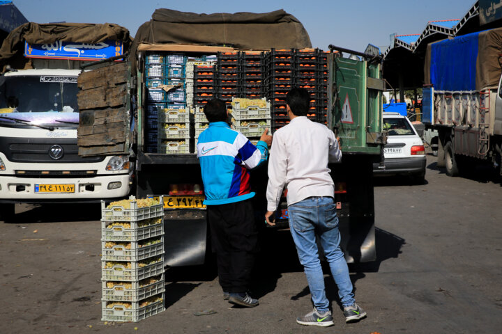 میدان میوه و تره بار