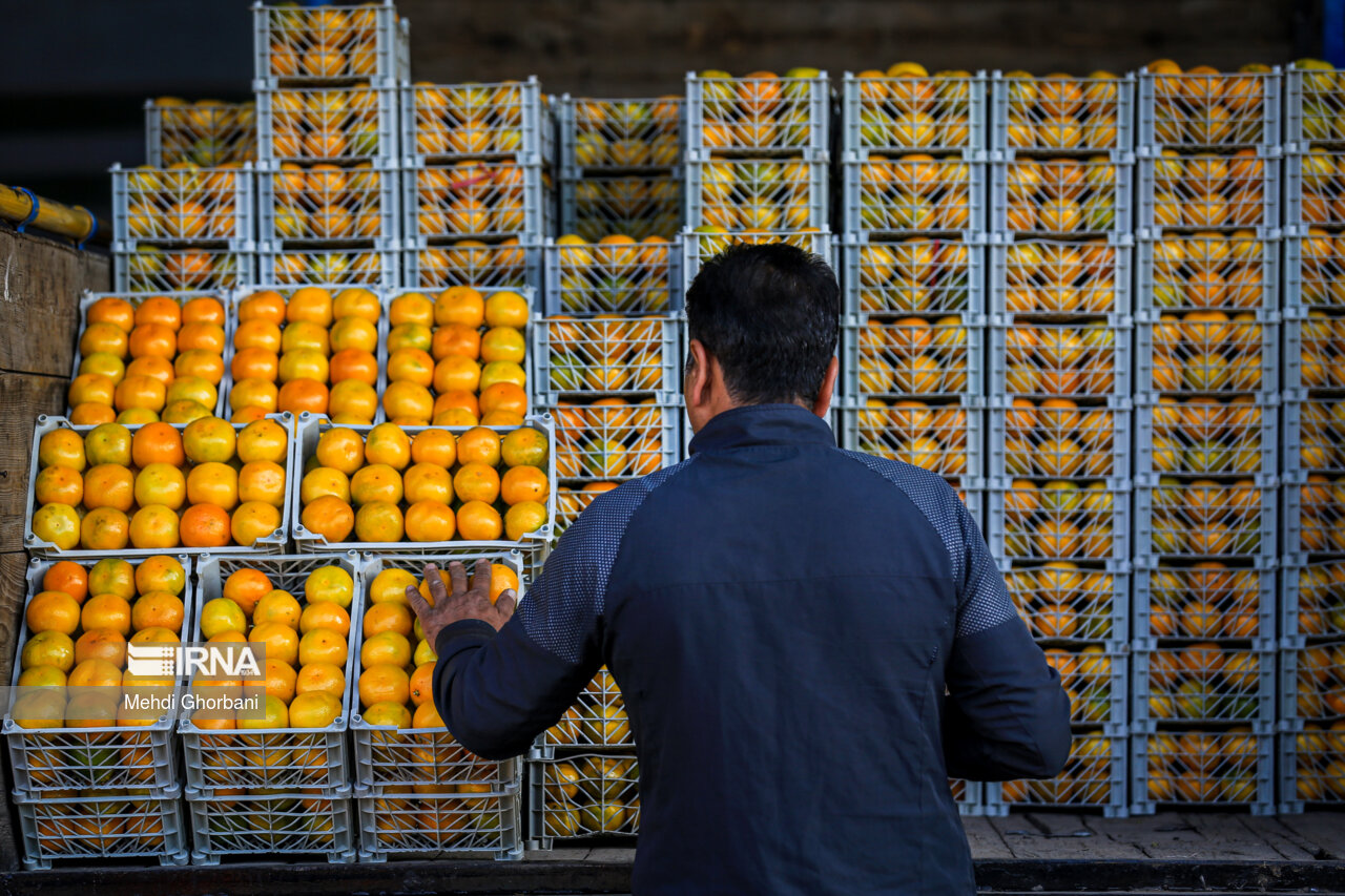 خرید ۶۰۰ تن میوه شب عید در استان مرکزی هدفگذاری شد