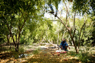 Jardin de grenades dans l’ouest de l’Iran 