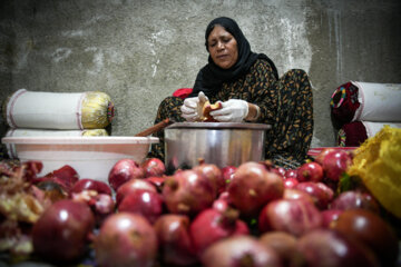 Jardin de grenades dans l’ouest de l’Iran 