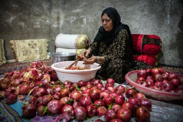 Jardin de grenades dans l’ouest de l’Iran 