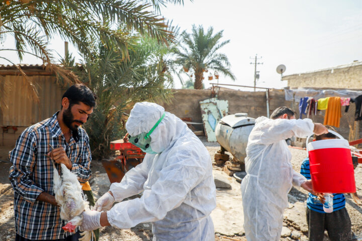 وضعیت وخیم مقاومت میکروبی بیمارستان ها نتیجه تجویز بیرویه آنتیبیوتیک 3 وضعیت وخیم مقاومت میکروبی بیمارستان ها نتیجه تجویز بیرویه آنتیبیوتیک