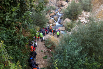 آبشار بیشه لرستان