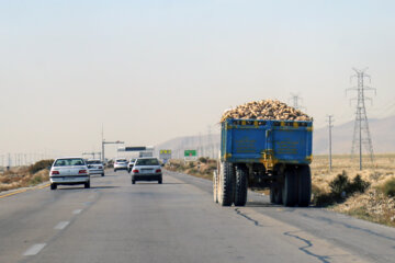 Récolte de betteraves sucrières dans la province de Khorasan du Nord