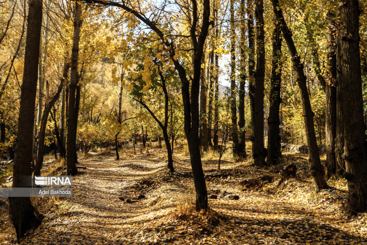 طبیعت پاییزی همدان