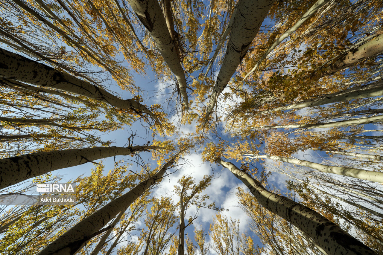 طبیعت پاییزی همدان