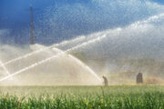 اجرای طرح بازار آب به توزیع پایدار آب منجر خواهد شد
