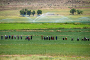 تحویل طرح تامین آب زمین‌های کشاورزی گِل‌سفید چهارمحال و بختیاری