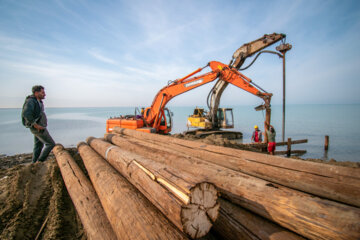 نصب دیواره حفاظتی با تیرهای چوبی فرآوری شده جهت جلوگیری از ورود مجدد لای در ابتدای کانال
