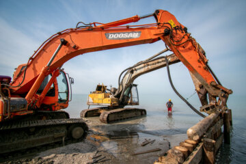 نصب دیواره حفاظتی با تیرهای چوبی فرآوری شده توسط دستگاه های هیدرولیک در دل یک کیلومتری از ساحل