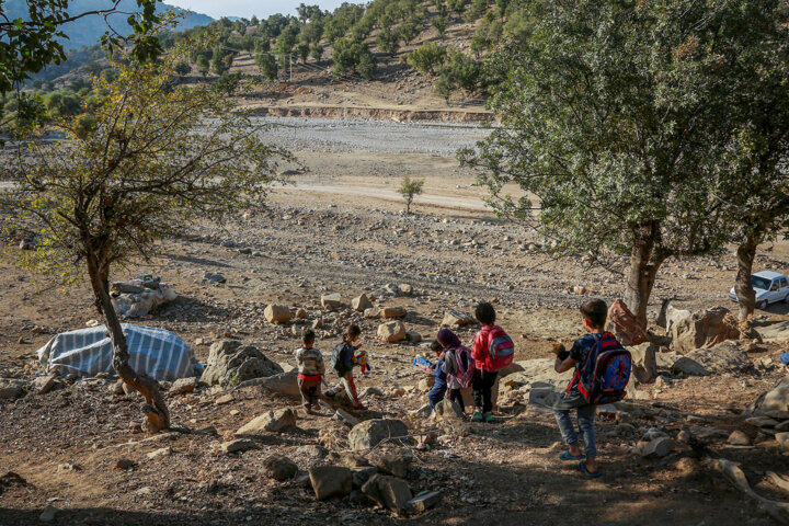 سودای با سوادی پیش پای کوه