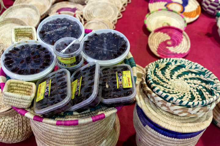 نمایشگاه بینالمللی خرما و صنایع وابسته در بوشهر گشایش یافت