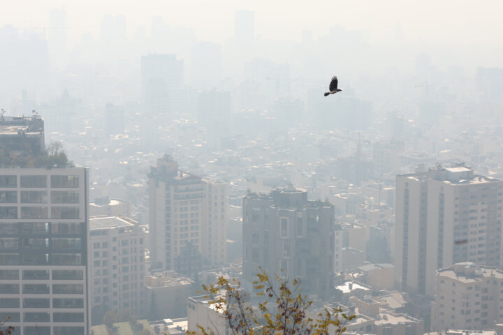 آلودگی هوا؛ مرگهایی خاموش با فراموشی قانون