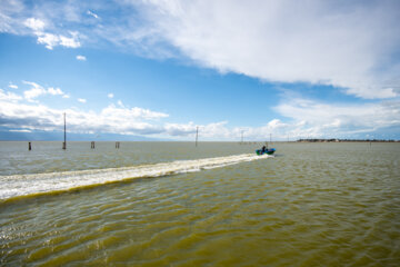 ارتفاع و کیفیت آب خلیج گرگان با تکمیل طرح لایروبی افزایش یافت