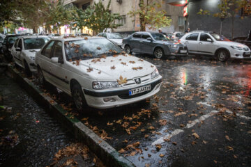 Espectáculo de color cuando el otoño llega a Teherán