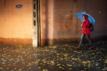 Espectáculo de color cuando el otoño llega a Teherán