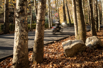 Téhéran prend les couleurs de l'automne