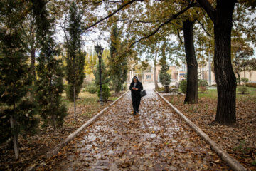 Espectáculo de color cuando el otoño llega a Teherán