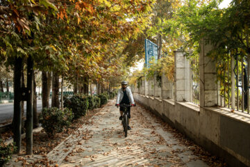 Espectáculo de color cuando el otoño llega a Teherán