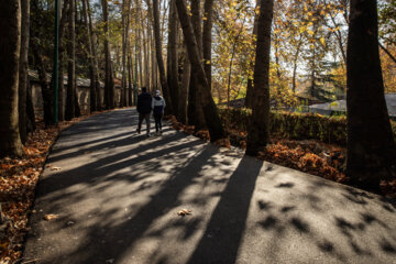 Téhéran prend les couleurs de l'automne