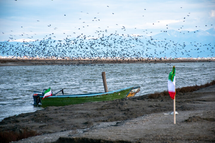 آبگیری خلیج گرگان