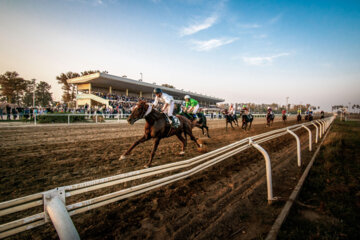 بزرگترین مجموعه اسبدوانی ایران در گنبد کاووس