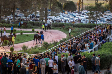 بزرگترین مجموعه اسبدوانی ایران در گنبد کاووس