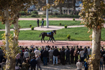 بزرگترین مجموعه اسبدوانی ایران در گنبد کاووس