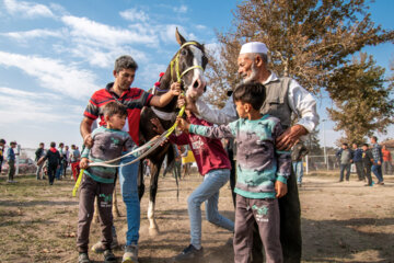بزرگترین مجموعه اسبدوانی ایران در گنبد کاووس