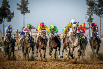 بزرگترین مجموعه اسبدوانی ایران در گنبد کاووس